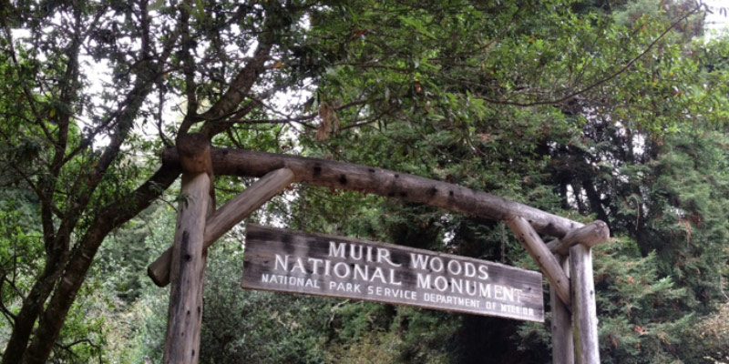 Muir Woods entrance